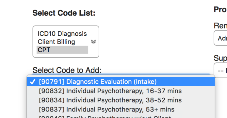 Manually Add a Billing Code to a Blank Fee Sheet - BreezyNotes EHR