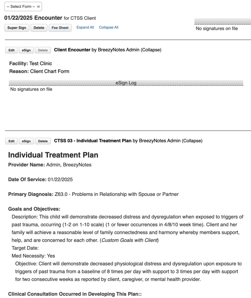 Individual Treatment Plan (ARMHS) - BreezyNotes EHR